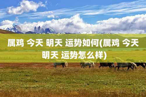 属鸡 今天 明天 运势如何(属鸡 今天 明天 运势怎么样)