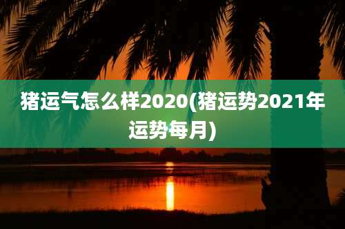 猪运气怎么样2020(猪运势2021年运势每月)