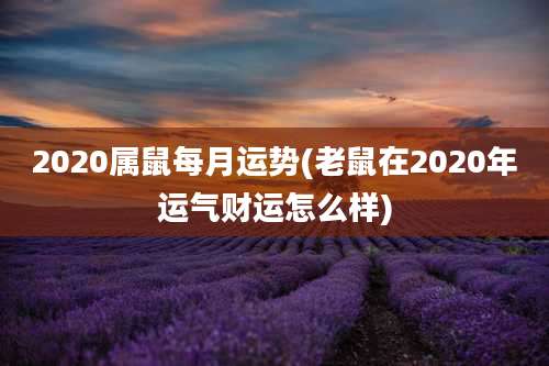 2020属鼠每月运势(老鼠在2020年运气财运怎么样)