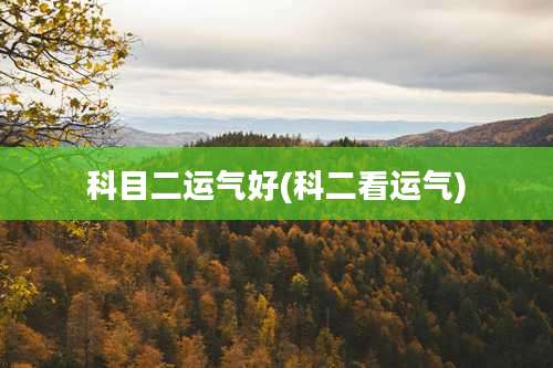 科目二运气好(科二看运气)