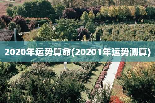 2020年运势算命(20201年运势测算)