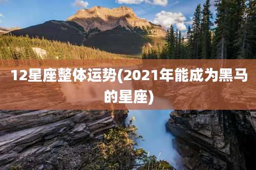 12星座整体运势(2021年能成为黑马的星座)