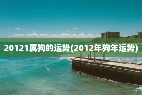 20121属狗的运势(2012年狗年运势)