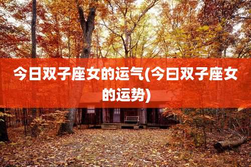 今日双子座女的运气(今曰双子座女的运势)