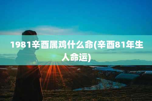 1981辛酉属鸡什么命(辛酉81年生人命运)