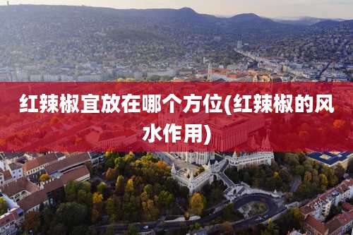 红辣椒宜放在哪个方位(红辣椒的风水作用)