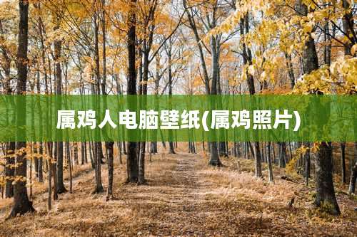 属鸡人电脑壁纸(属鸡照片)