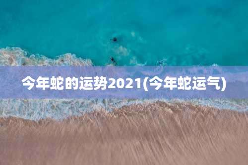 今年蛇的运势2021(今年蛇运气)