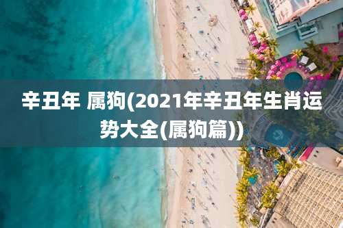 辛丑年 属狗(2021年辛丑年生肖运势大全(属狗篇))