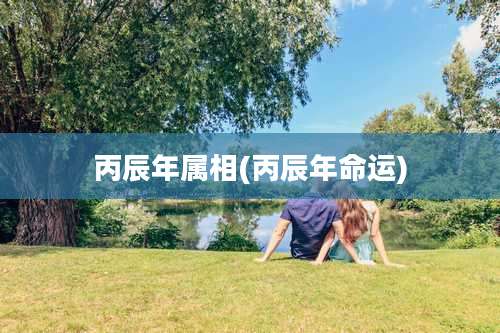 丙辰年属相(丙辰年命运)