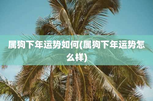属狗下年运势如何(属狗下年运势怎么样)