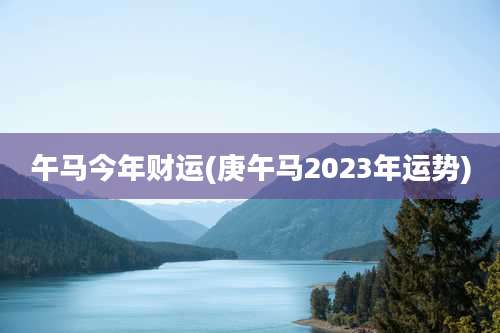 午马今年财运(庚午马2023年运势)