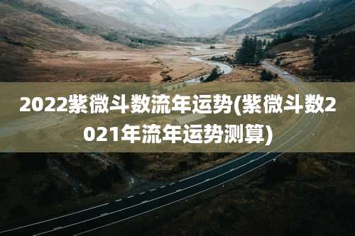 2022紫微斗数流年运势(紫微斗数2021年流年运势测算)
