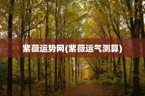 紫薇运势网(紫薇运气测算)