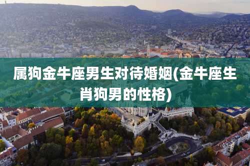 属狗金牛座男生对待婚姻(金牛座生肖狗男的性格)