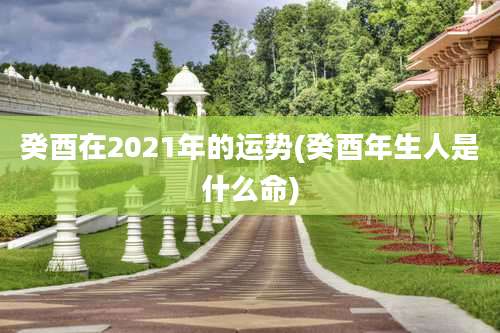 癸酉在2021年的运势(癸酉年生人是什么命)
