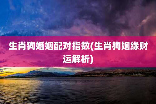 生肖狗婚姻配对指数(生肖狗姻缘财运解析)