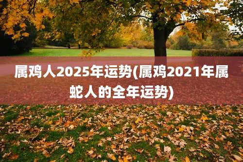 属鸡人2025年运势(属鸡2021年属蛇人的全年运势)