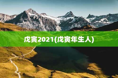戊寅2021(戊寅年生人)