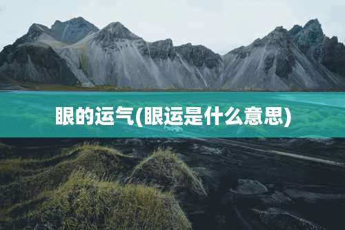 眼的运气(眼运是什么意思)