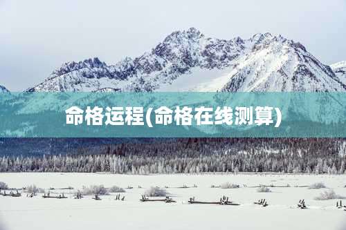 命格运程(命格在线测算)