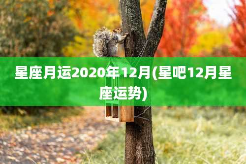 星座月运2020年12月(星吧12月星座运势)