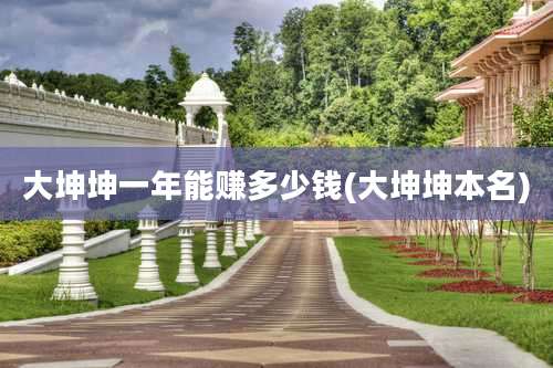 大坤坤一年能赚多少钱(大坤坤本名)