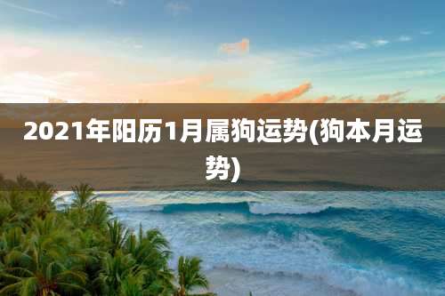 2021年阳历1月属狗运势(狗本月运势)