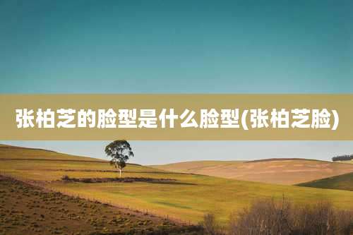 张柏芝的脸型是什么脸型(张柏芝脸)