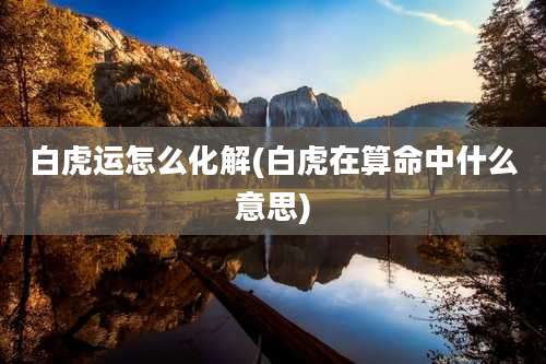 白虎运怎么化解(白虎在算命中什么意思)
