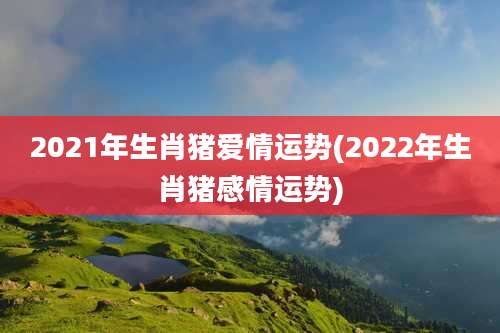 2021年生肖猪爱情运势(2022年生肖猪感情运势)