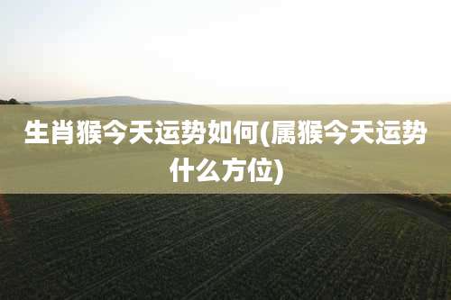 生肖猴今天运势如何(属猴今天运势什么方位)