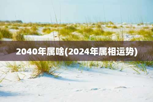 2040年属啥(2024年属相运势)
