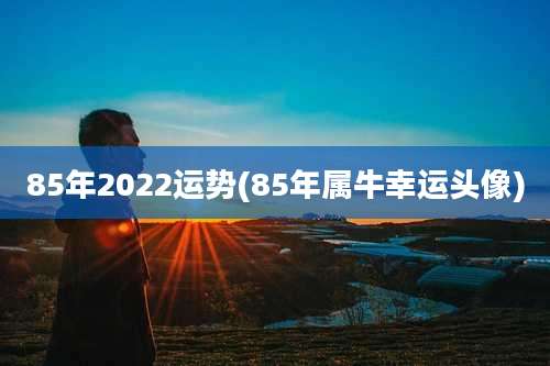 85年2022运势(85年属牛幸运头像)
