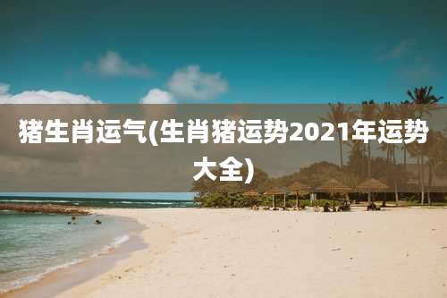 猪生肖运气(生肖猪运势2021年运势大全)