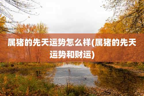 属猪的先天运势怎么样(属猪的先天运势和财运)