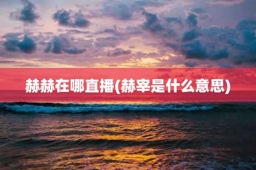 赫赫在哪直播(赫宰是什么意思)