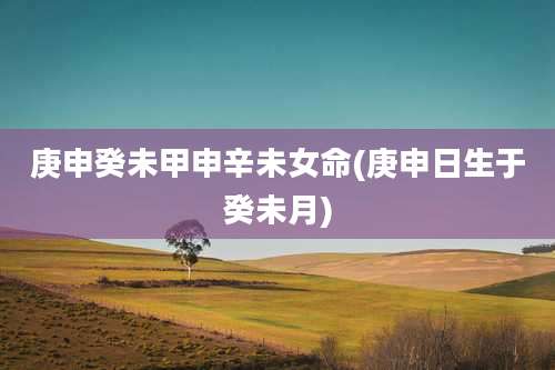 庚申癸未甲申辛未女命(庚申日生于癸未月)