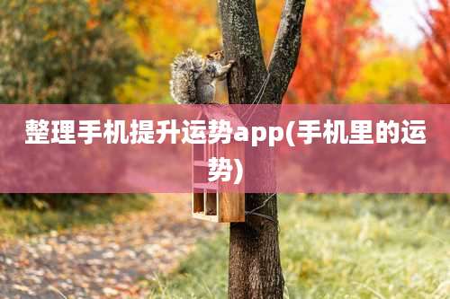 整理手机提升运势app(手机里的运势)