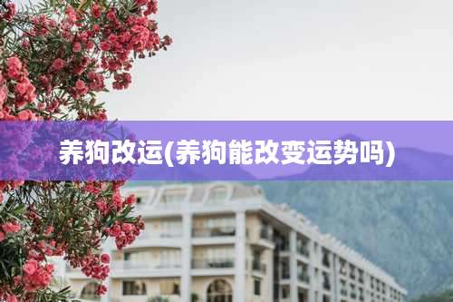 养狗改运(养狗能改变运势吗)