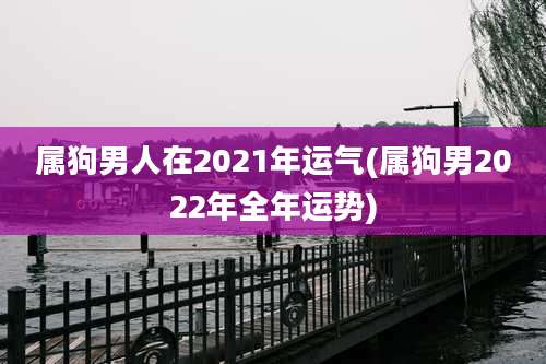 属狗男人在2021年运气(属狗男2022年全年运势)