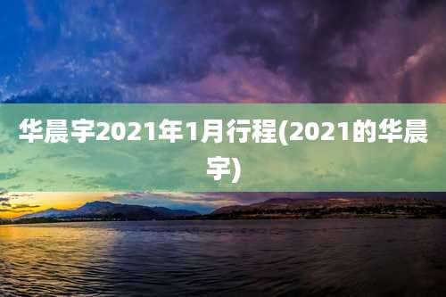 华晨宇2021年1月行程(2021的华晨宇)