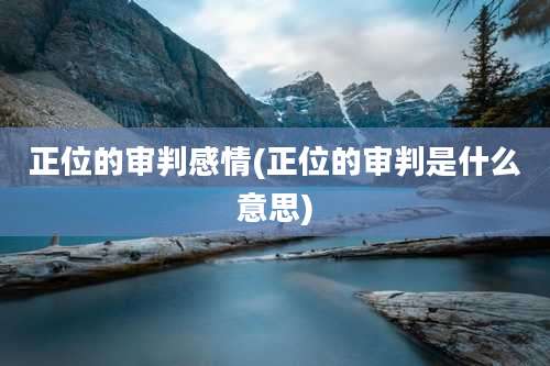 正位的审判感情(正位的审判是什么意思)