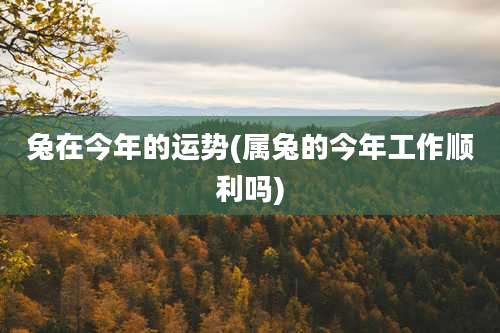 兔在今年的运势(属兔的今年工作顺利吗)