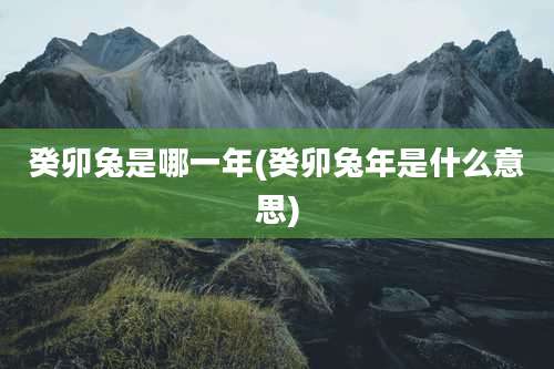 癸卯兔是哪一年(癸卯兔年是什么意思)