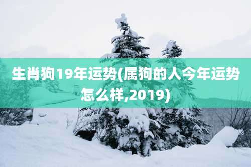 生肖狗19年运势(属狗的人今年运势怎么样,2019)