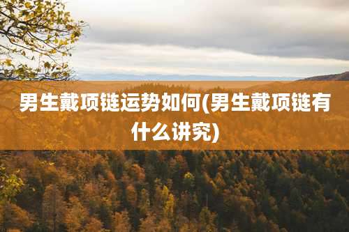 男生戴项链运势如何(男生戴项链有什么讲究)