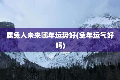属兔人未来哪年运势好(兔年运气好吗)