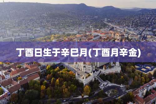 丁酉日生于辛巳月(丁酉月辛金)