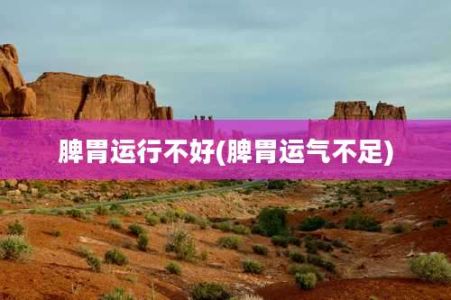 脾胃运行不好(脾胃运气不足)